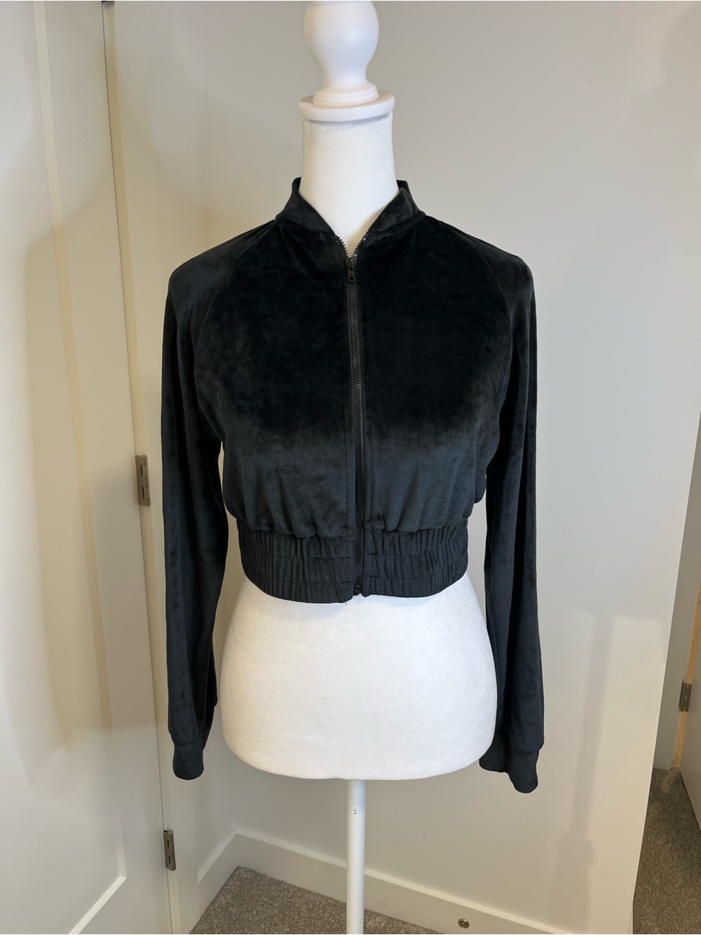 STREETWEAR SOCIETY Black Velour Cropped Zip-Up - FREE SHIPPING on Bundles $95+